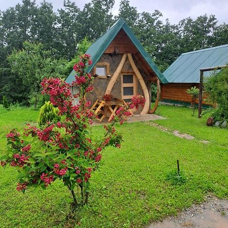 Gazela Bungalov 1 Мойковац Экстерьер фото