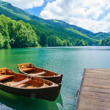 Gazela Bungalov 1 Мойковац Экстерьер фото
