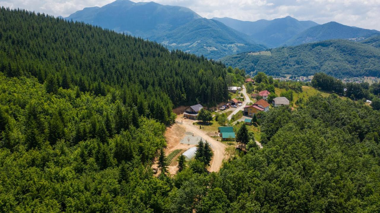 Gazela Bungalov 1 Мойковац Экстерьер фото