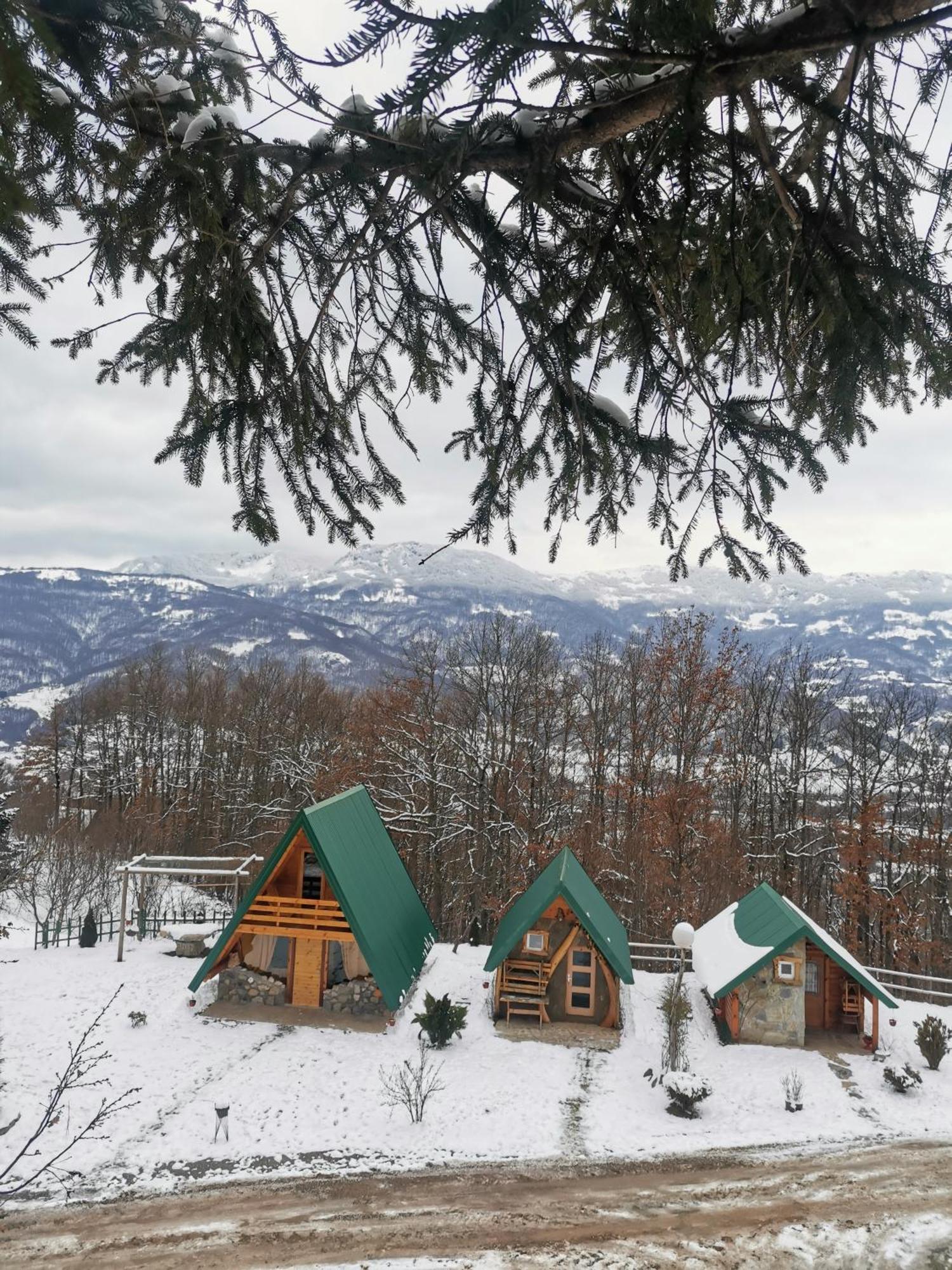 Gazela Bungalov 1 Мойковац Экстерьер фото