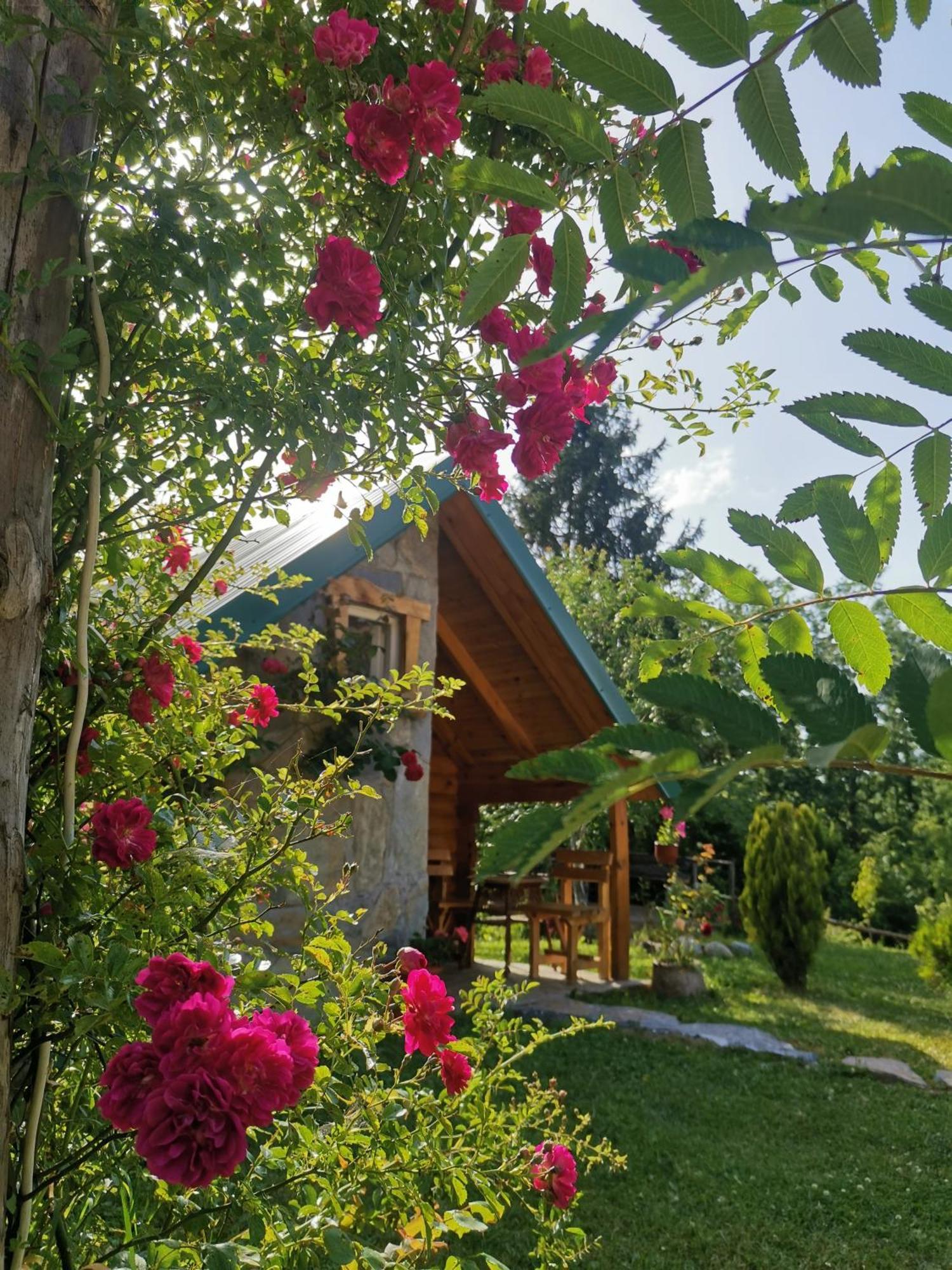Gazela Bungalov 1 Мойковац Экстерьер фото